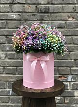 Цветочная композиция из Гипсофила и Розы в шляпной коробке #REPLACE_PRED# Митрофановке