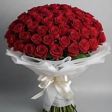Букет 101 Красная роза Блэк Мэджик #REPLACE_PRED# Митрофановке