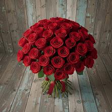Букет 55 Красных роз Фридом #REPLACE_PRED# Митрофановке