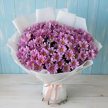 Букет цветов из:  Хризантемы #REPLACE_PRED# Митрофановке