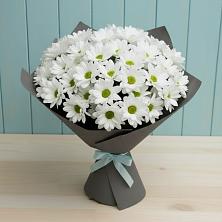 Букет цветов из:  Хризантемы в Митрофановке