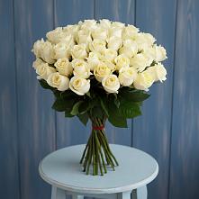 Букет 51 Белая роза Эдлесс Лав #REPLACE_PRED# Митрофановке