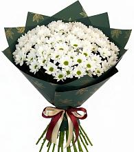 Букет цветов из:  Хризантемы в Митрофановке