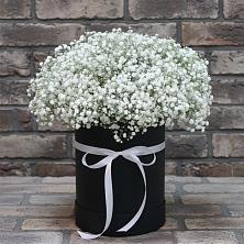 Цветочная композиция из Гипсофила в шляпной коробке в Митрофановке