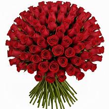 Букет Красные розы Чери Лав #REPLACE_PRED# Митрофановке