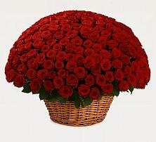 Премиум букет из: Розы #REPLACE_PRED# Митрофановке