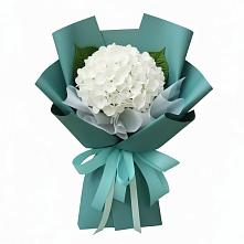 Букет цветов из:  Гортензия #REPLACE_PRED# Митрофановке